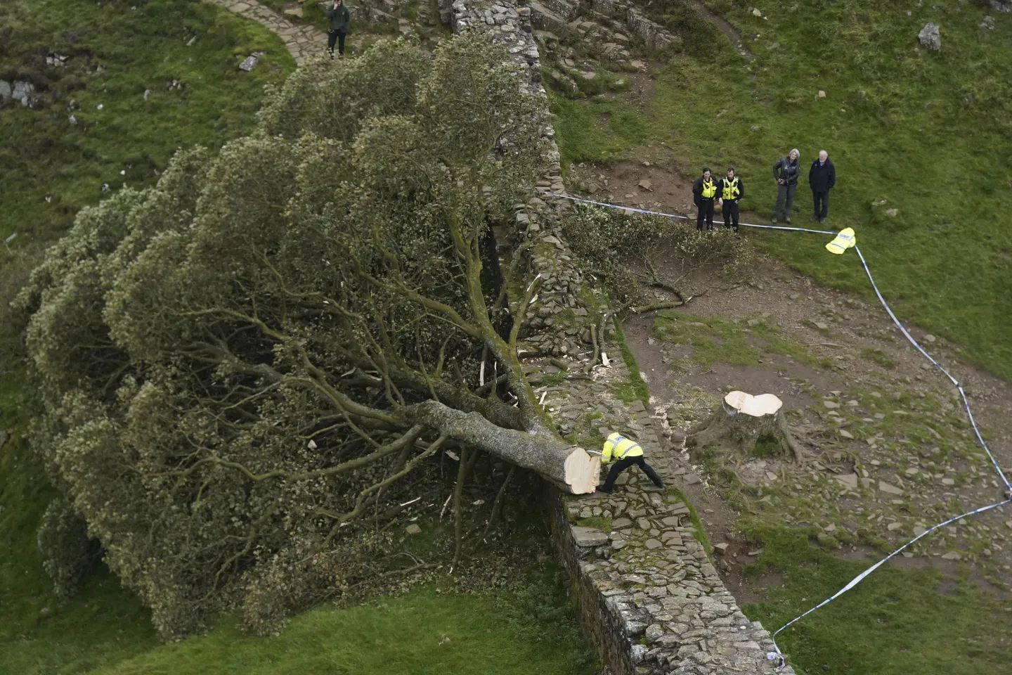 sycamoregap.jpg
