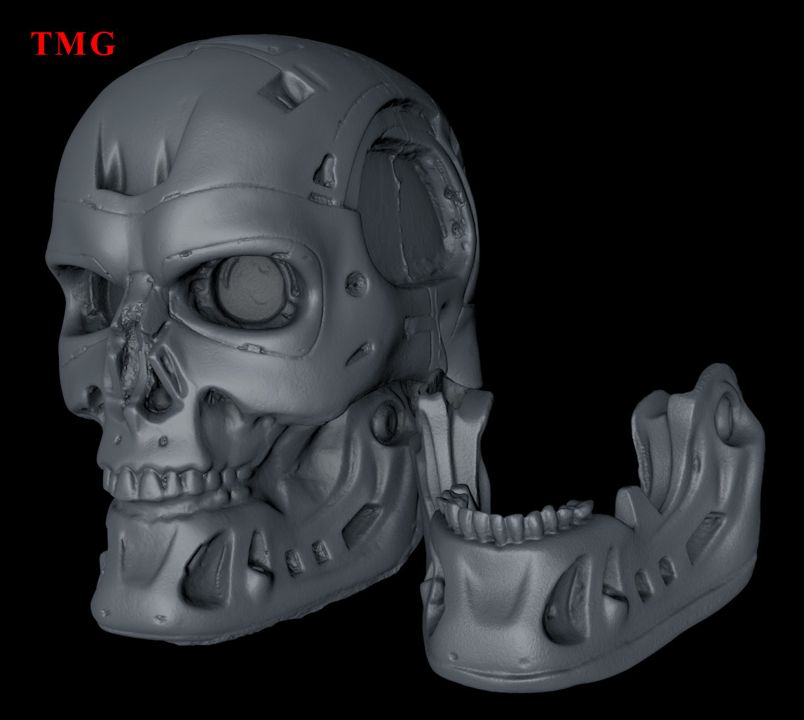 T-800-Endoskeleton-2024-04-12-Shining-Einstar.jpg