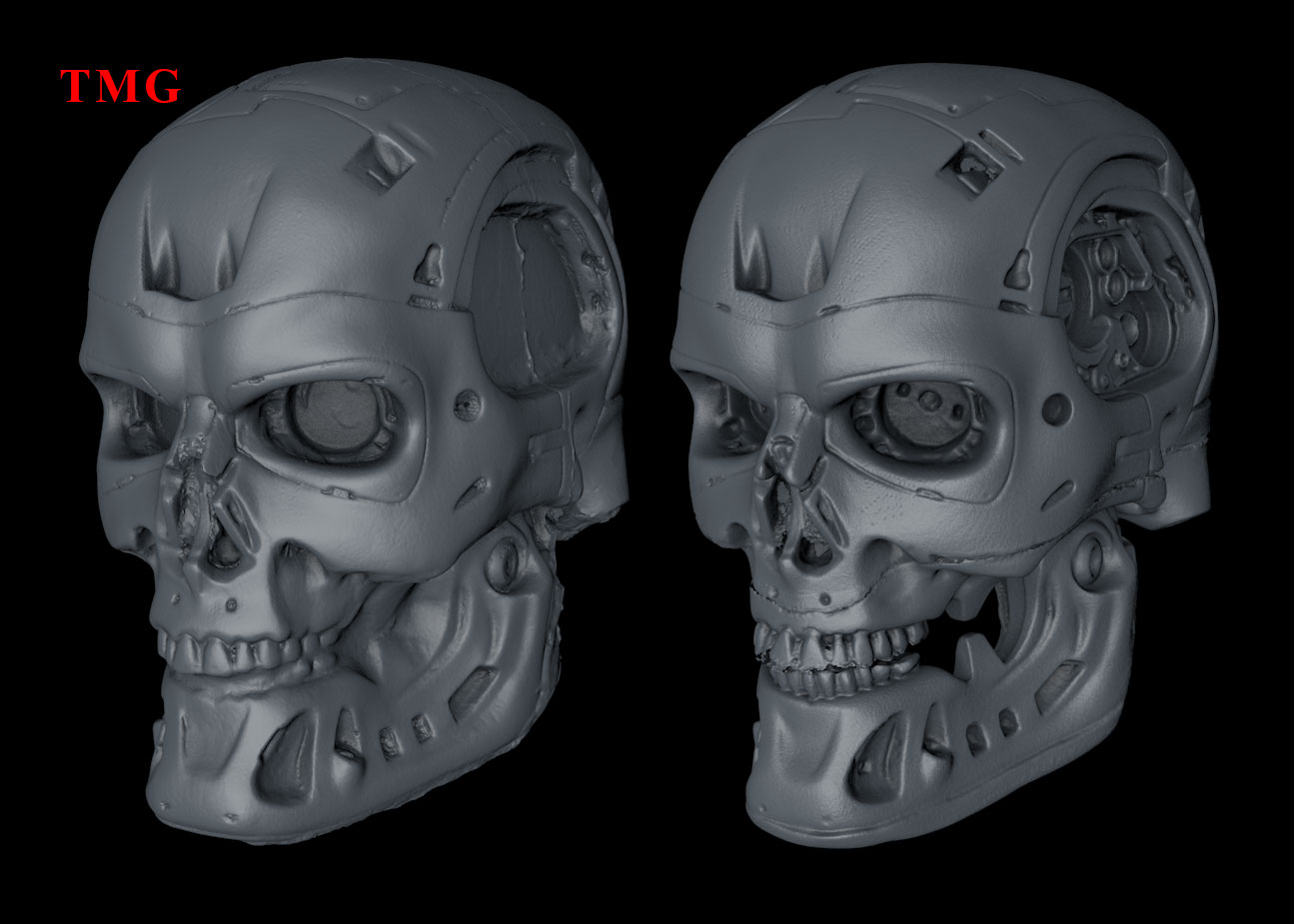 T-800-Endoskeleton-2024-04-14-Shining-Einstar.jpg