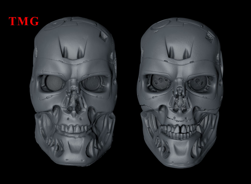 T-800-Endoskeleton-2024-04-15-Shining-Einstar.jpg