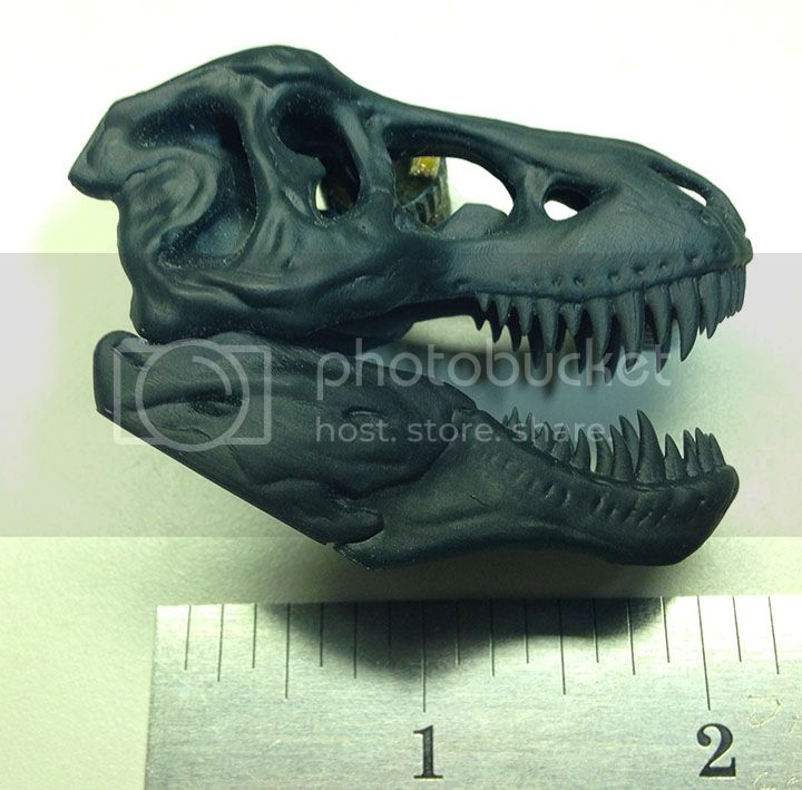 T-RexSkull_zpsd2892245.jpg