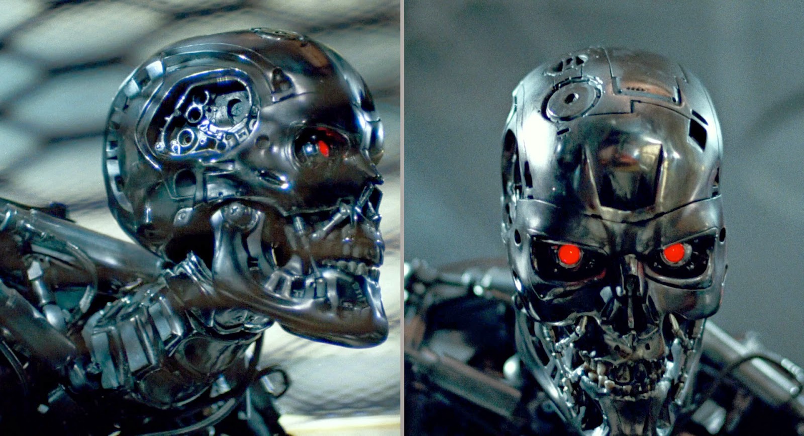 T1 - Endoskeleton - 21.jpg