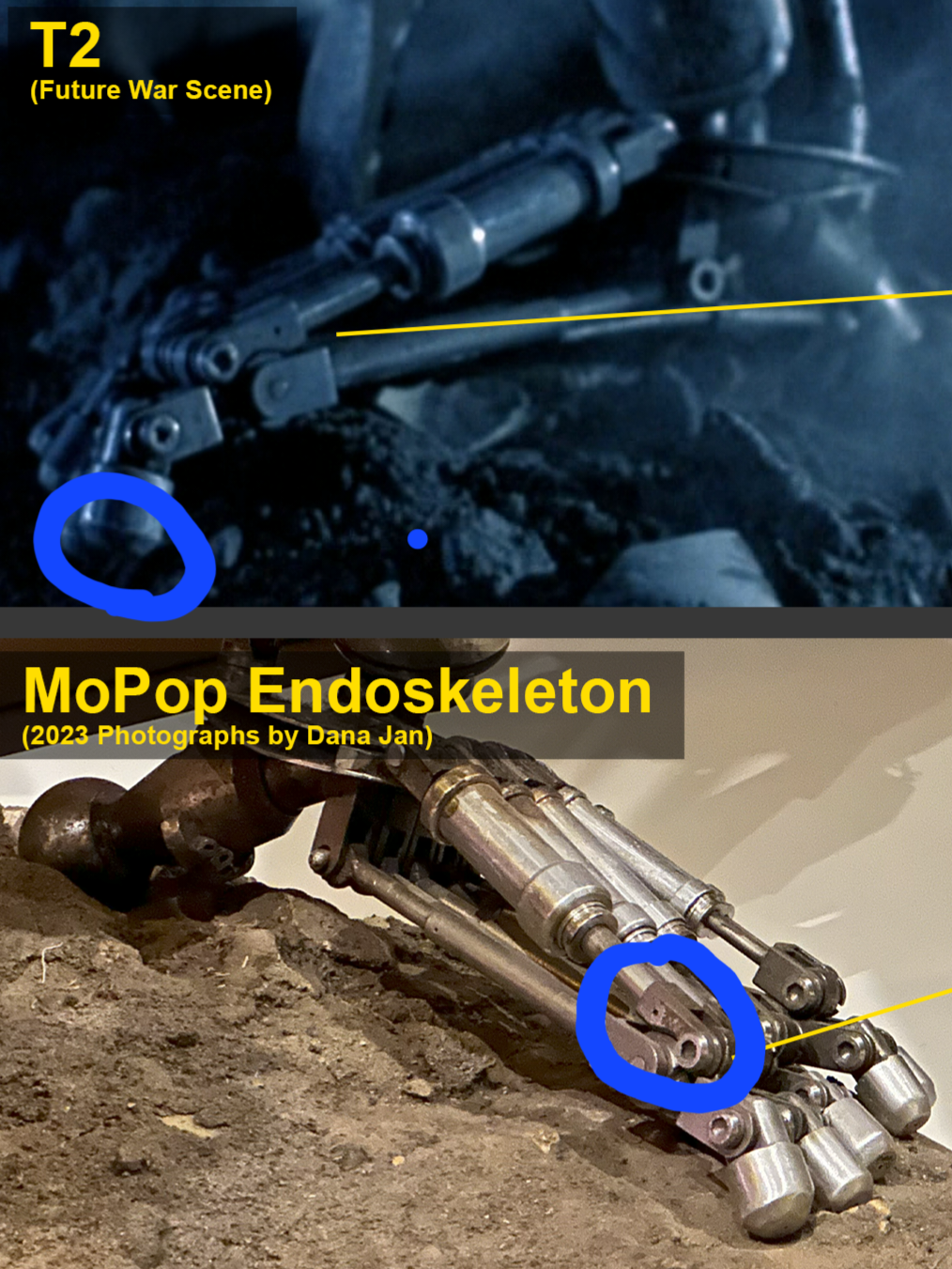 T1 T2 Endo Feet Clevis Curve.png