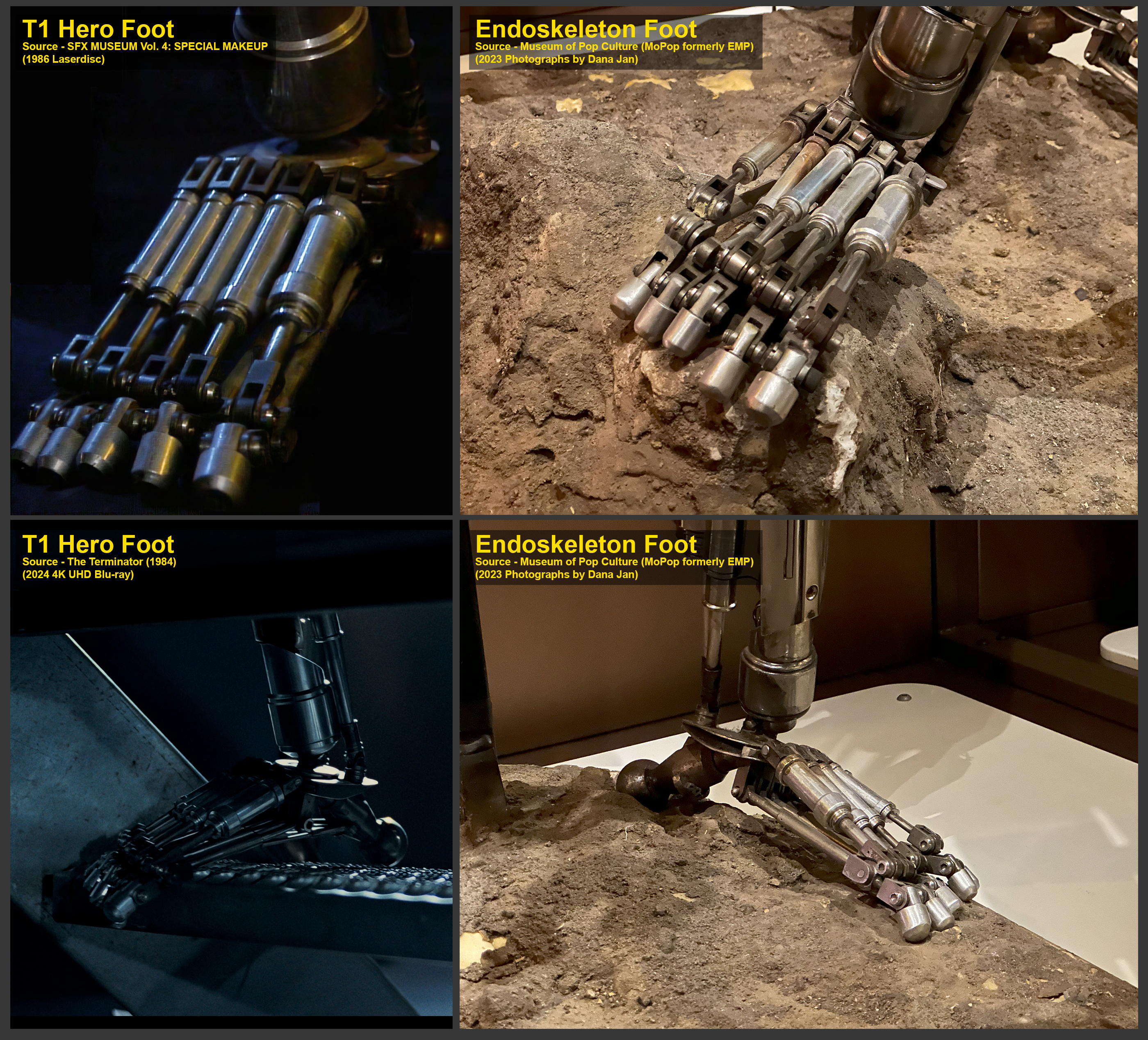 T1_Endo_Feet_Match.png