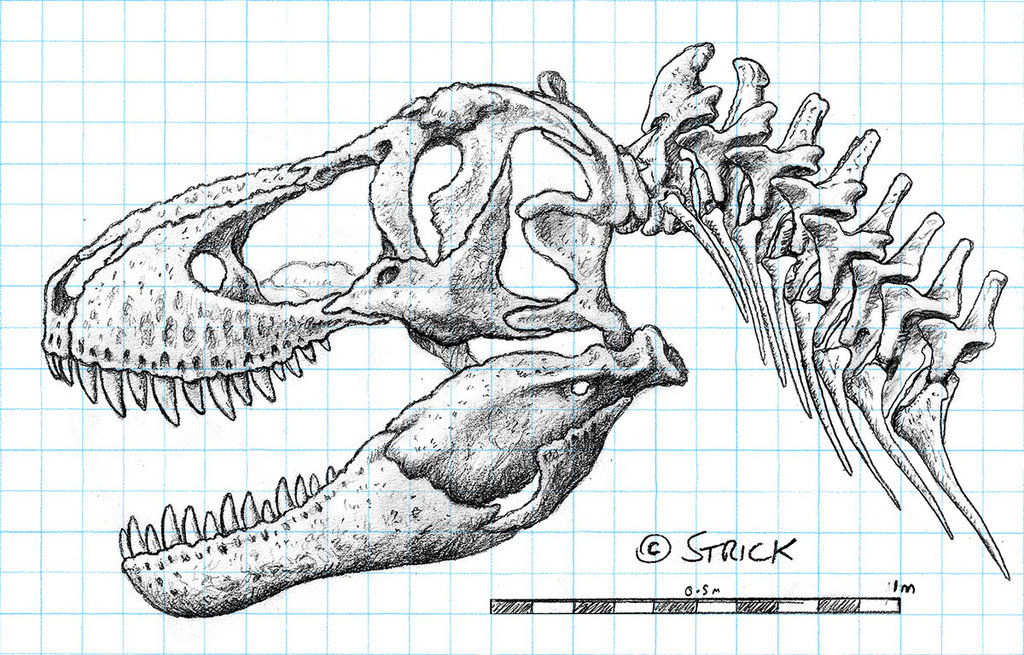 t__rex_head_and_neck_comped_by_strick67-dcadsv6.jpg