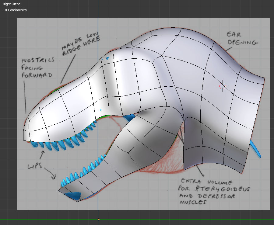 t_rex_skull_base_mesh_04_by_strick67-dcfrsgz.jpg