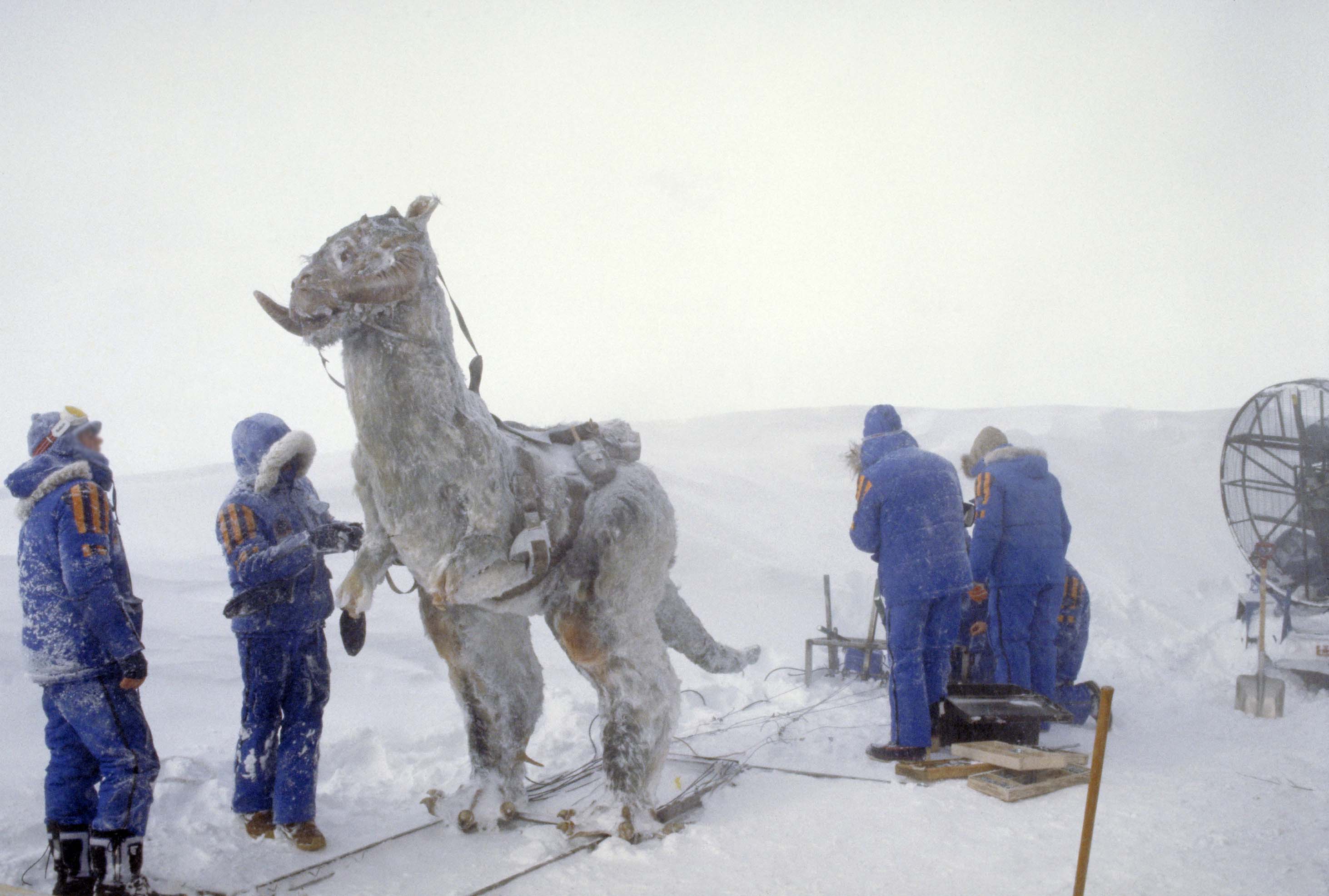 Tauntaun-with-Crew.jpg
