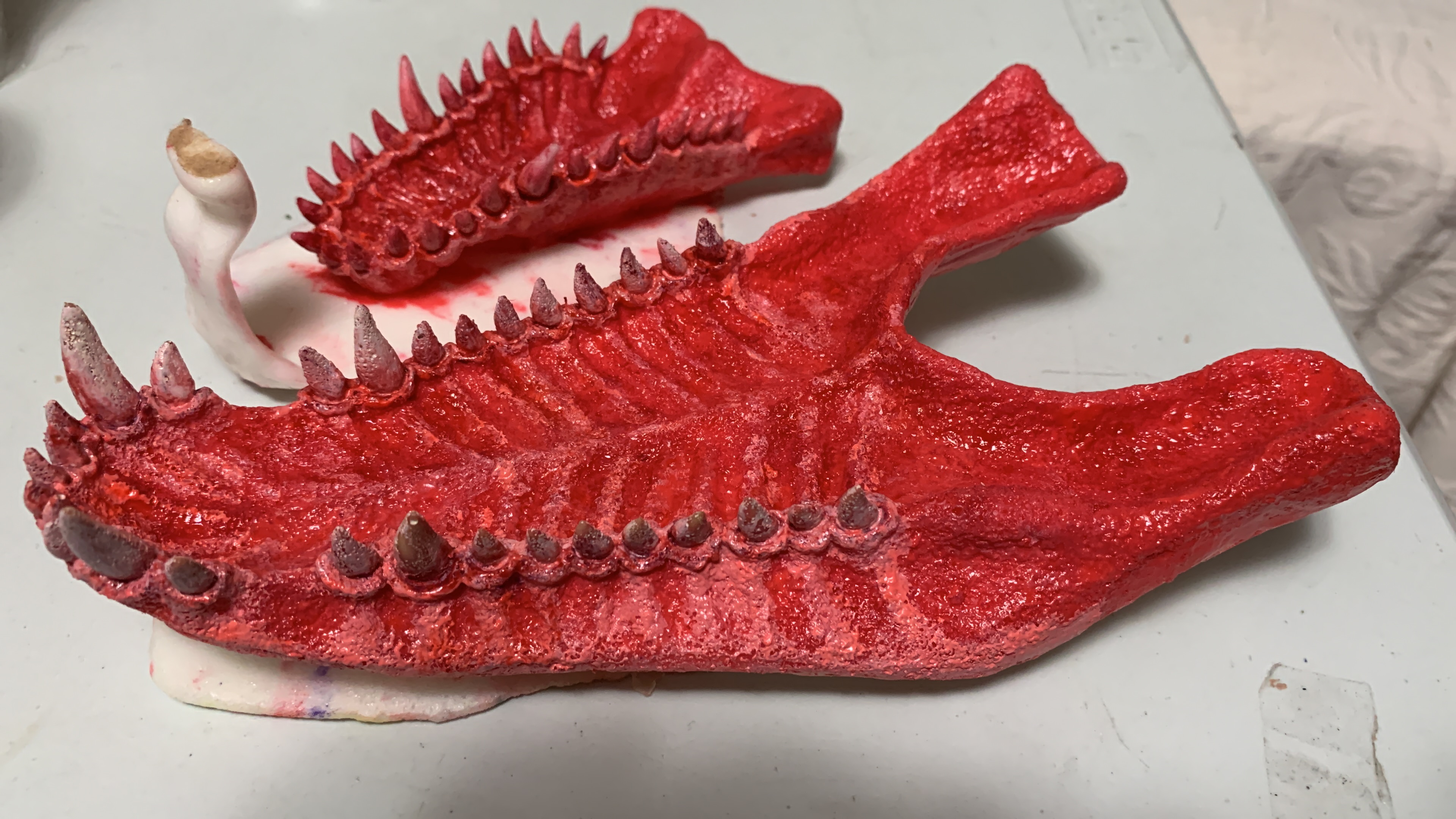 Teeth.JPG