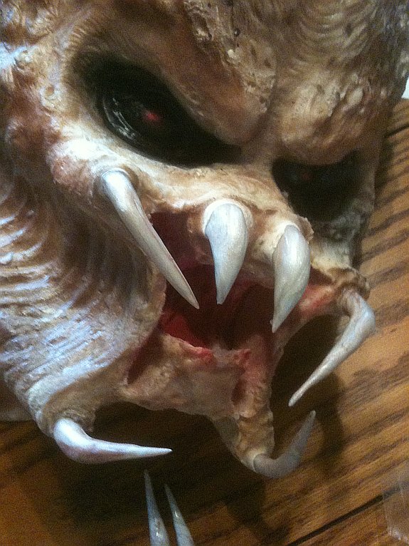 teeth3sm.jpg