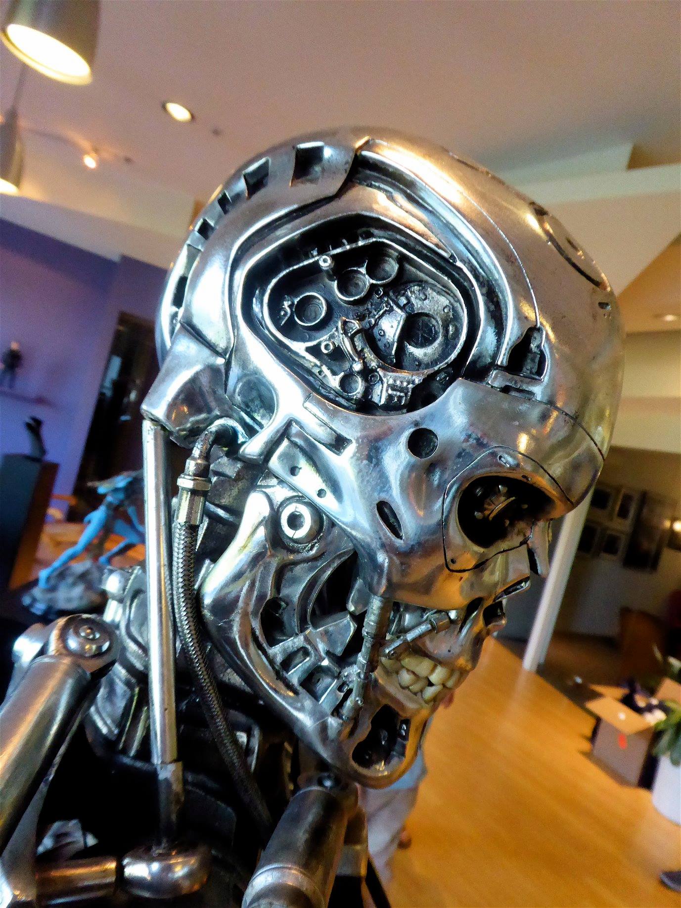 Terminator - Lightstorm - media-2326328332.jpg