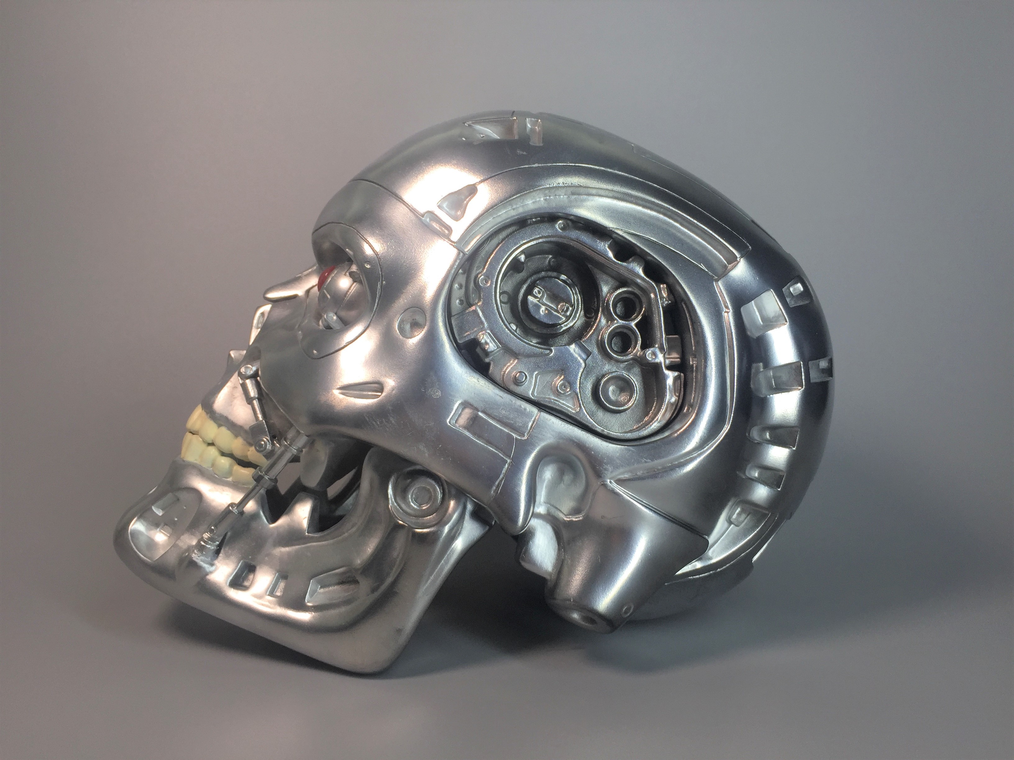 Terminator skull (3).JPG