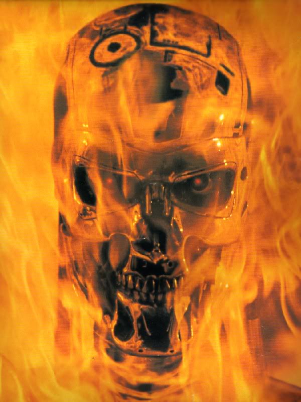 Terminatorskullflames.jpg