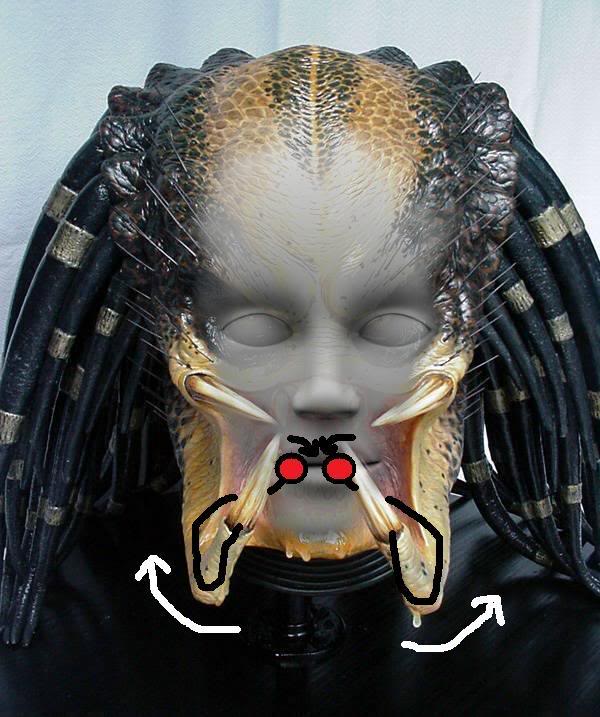 testpic1.jpg