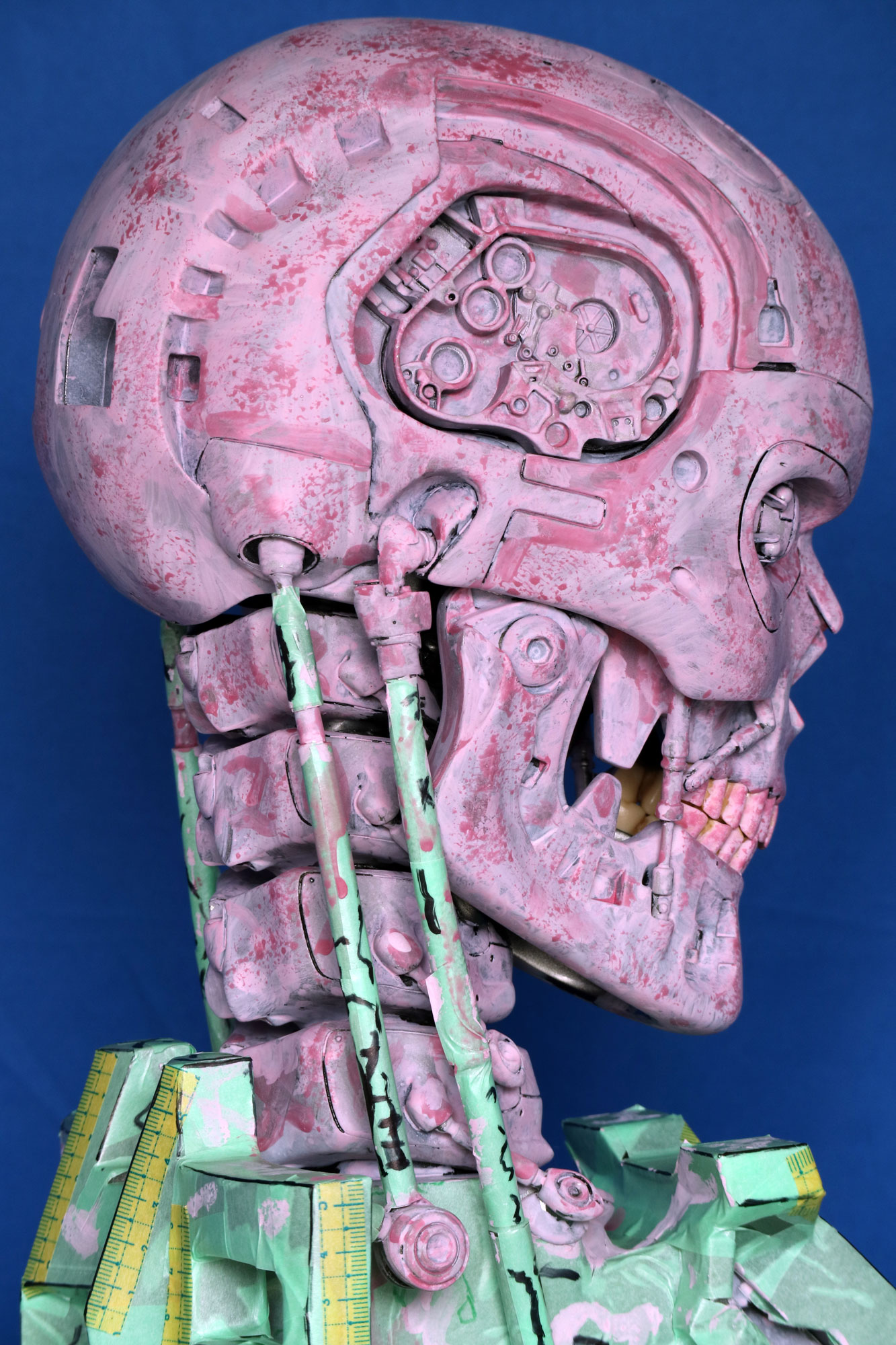 TgS08.jpg