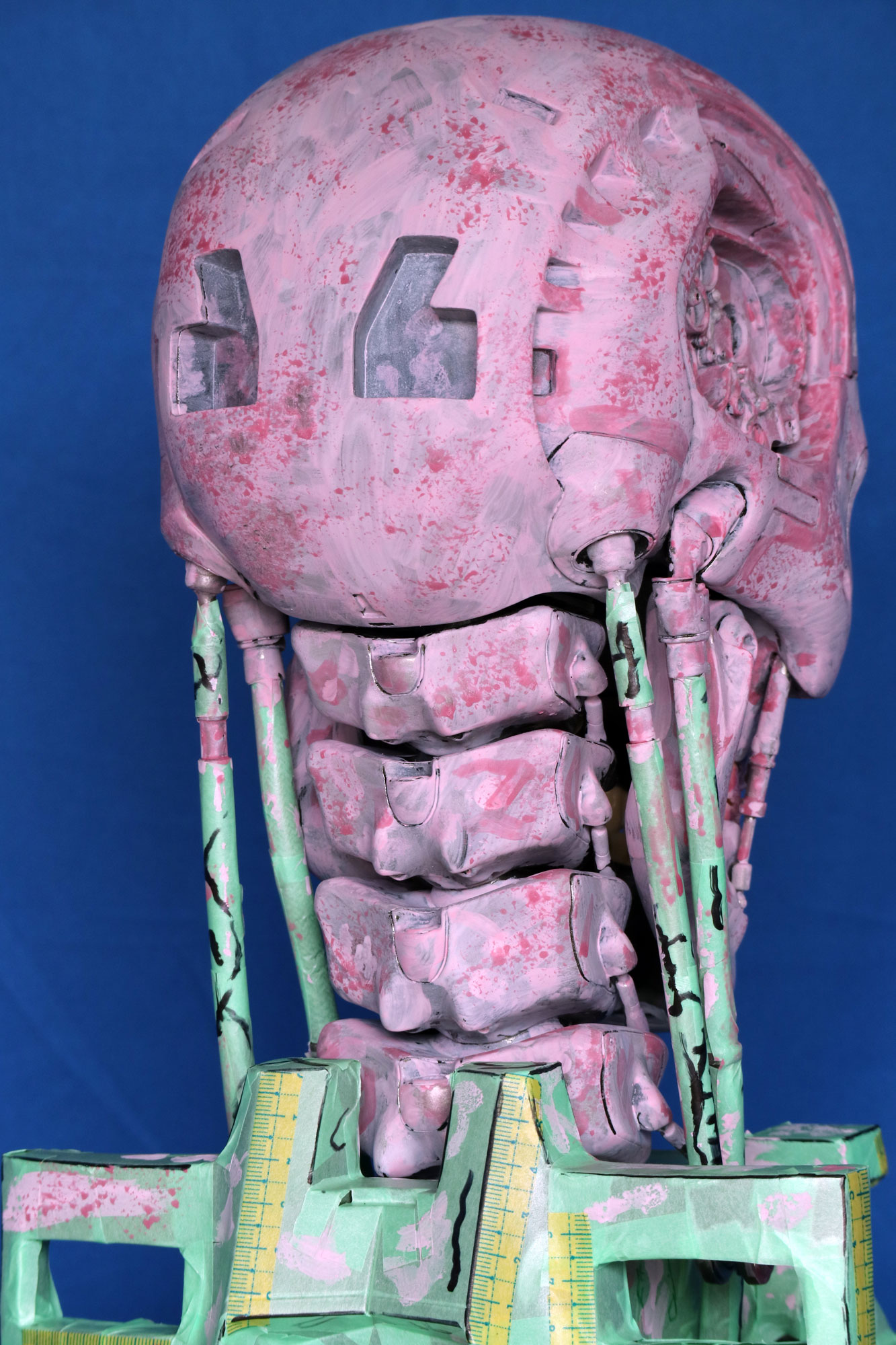 TgS11.JPG