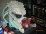 th_002-18.jpg