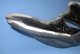 th_12312010-P1StuntBio3-1.jpg
