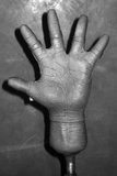 th_20110723a-P1LH-RevisedFingers4.jpg