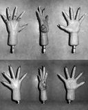 th_20110810b-P1RH-HandComparison1.jpg