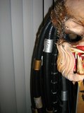 th_IMG_4242.jpg