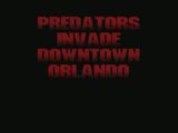 th_PredatorsOrlando.jpg