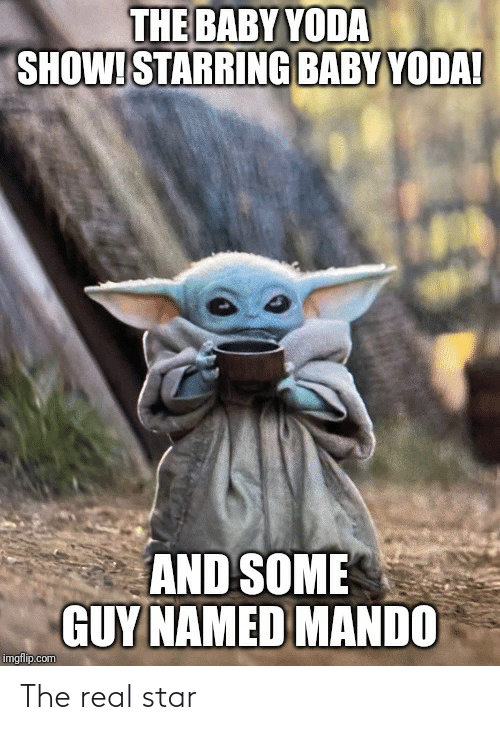 the-baby-yoda-show-starring-baby-yoda-and-some-guy-67155772.png