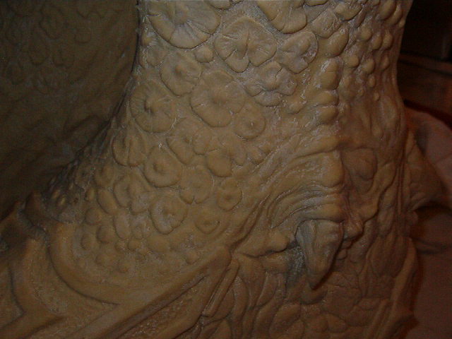 the feet 004.jpg