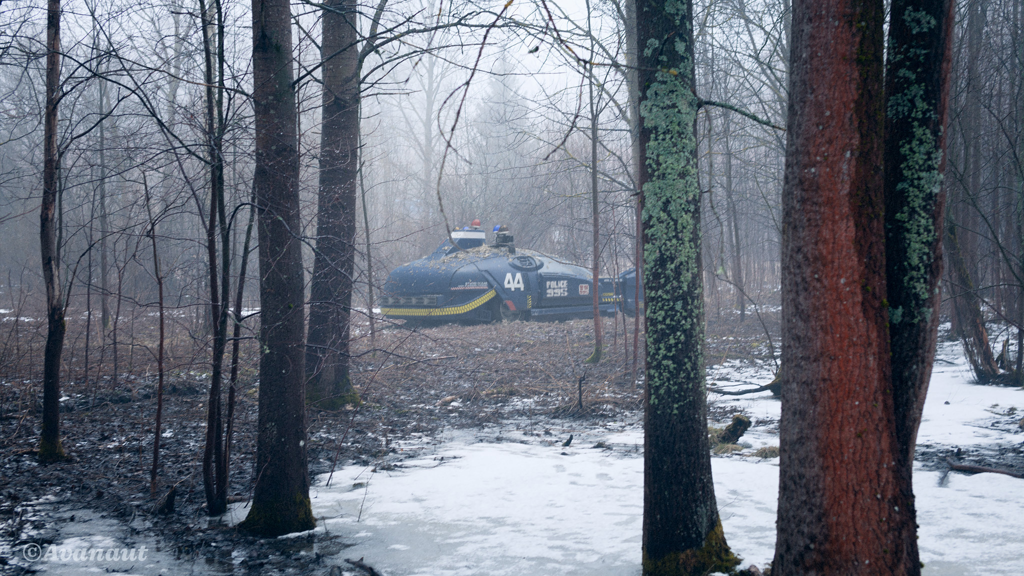 The Spinner in the Woods.jpg