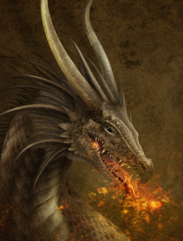 The_Dragon_wallpaper_by_TheOutcast1821.jpg