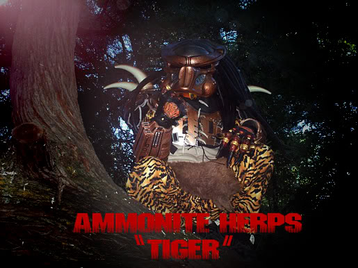 Tiger_predator1.jpg