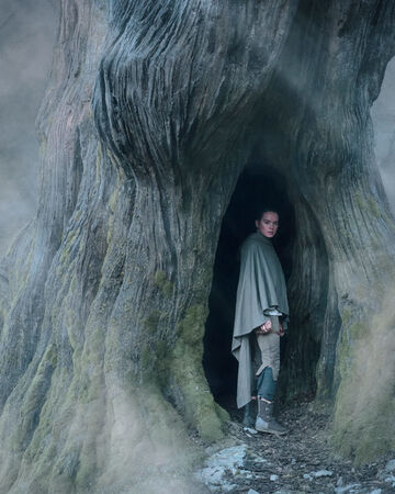TLJ_Rey_inside_Uneti_Tree.jpg