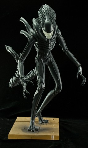 tn_alienwarrior-3.jpg