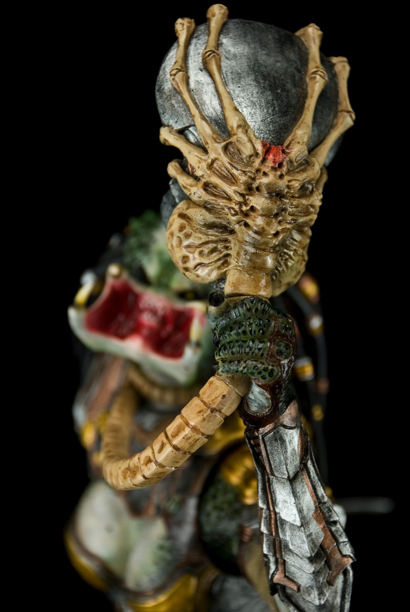 tn_DSC_0392.jpg