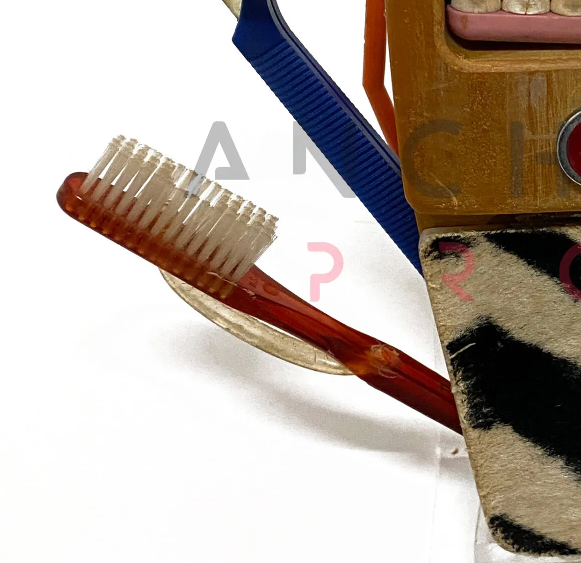toothbrush zoomed.png
