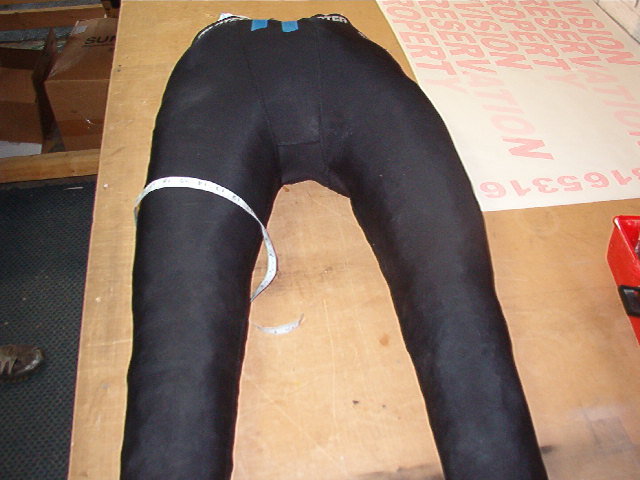 Torso and latex pics 009.jpg