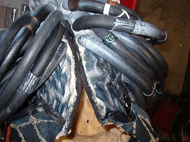Torso and latex pics and feet 010.jpg