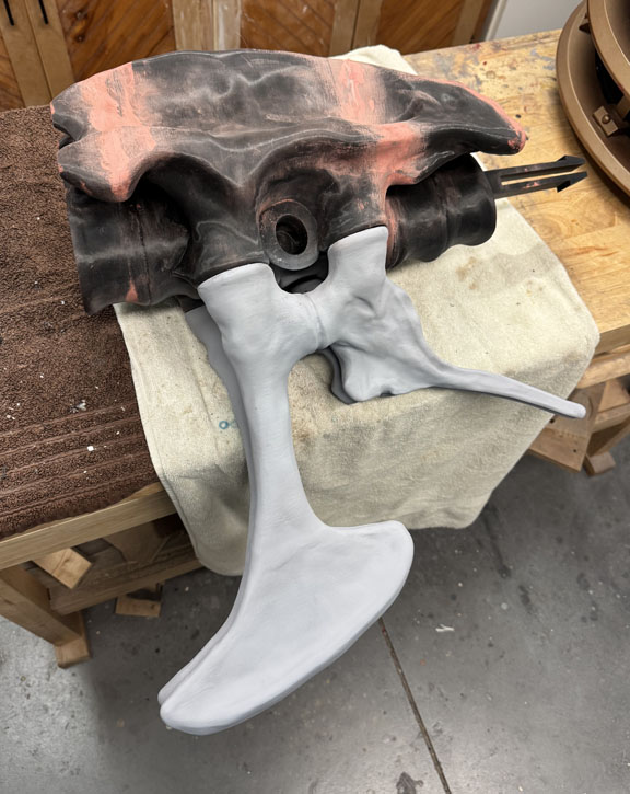 torso.jpg