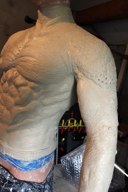 torso10.jpg