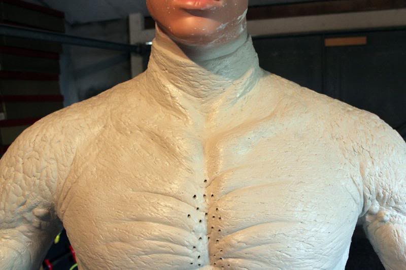 torso13.jpg