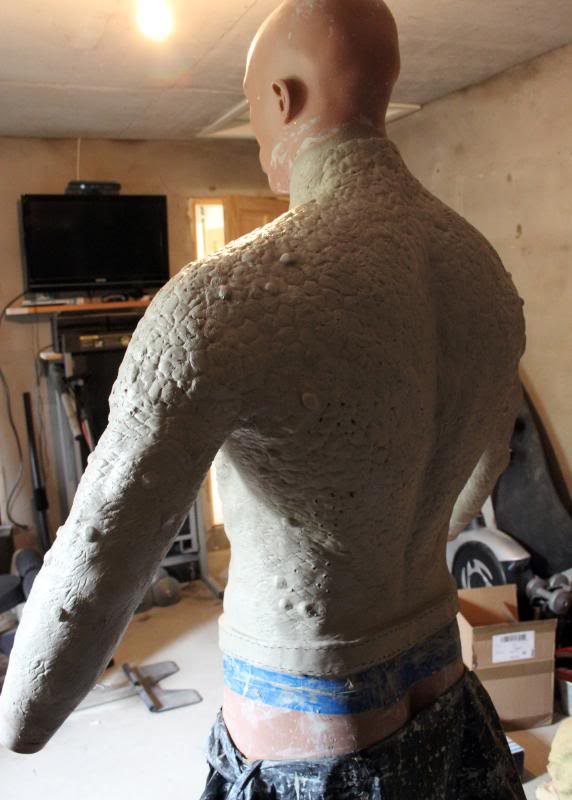 torso14.jpg