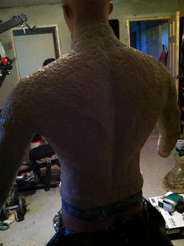 torso8.jpg
