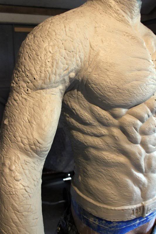 torso9.jpg
