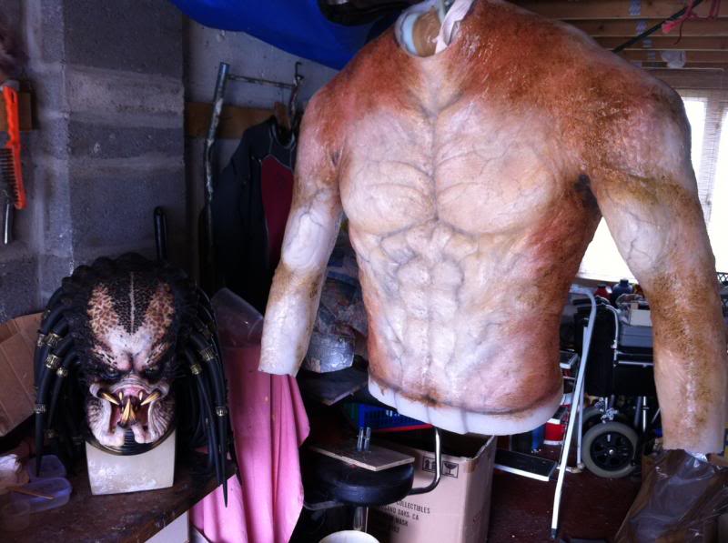 torsoday1.jpg