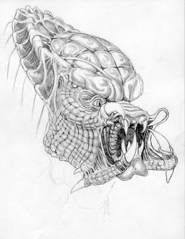 TRAVELER0001SNAPPER.jpg
