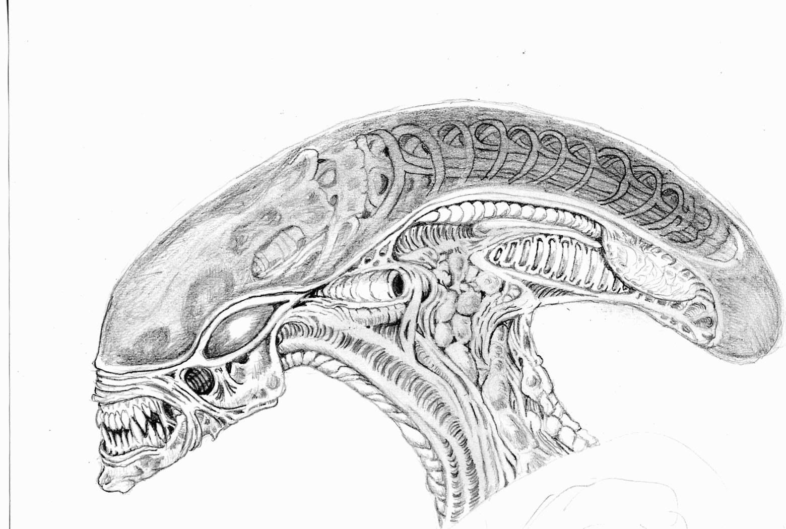 TRAVELER0005SPIRAL-BRAIN.jpg
