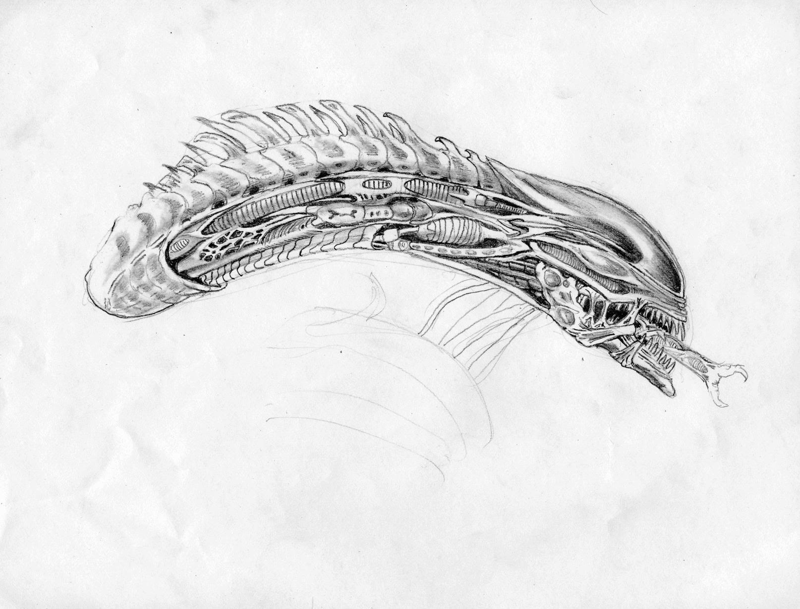 TRAVELER0011FIN-HEAD.jpg