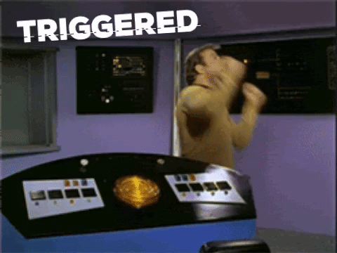 trektriggered.gif
