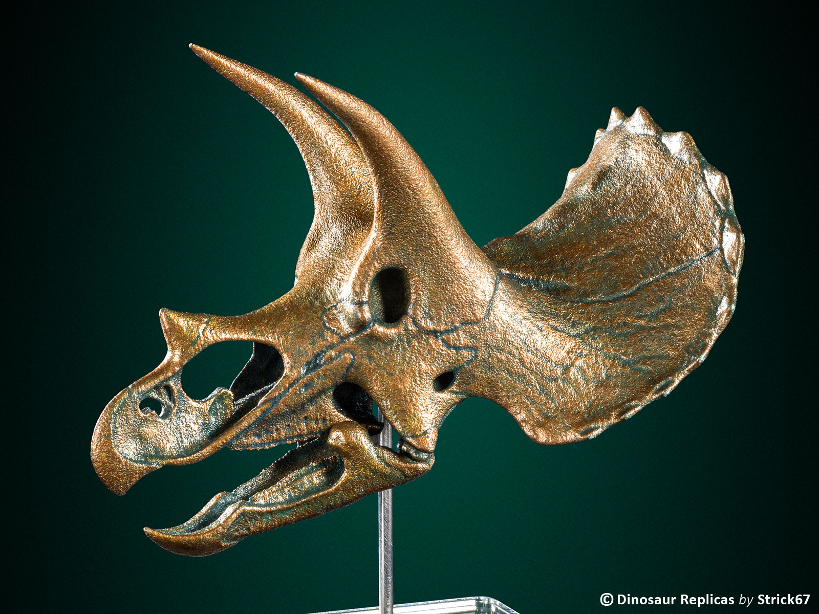 dinosaur bone replicas