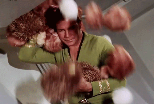 trouble-with-tribbles.gif