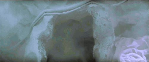 tumblr_p10wt0W6tU1wzvt9qo5_500.gif